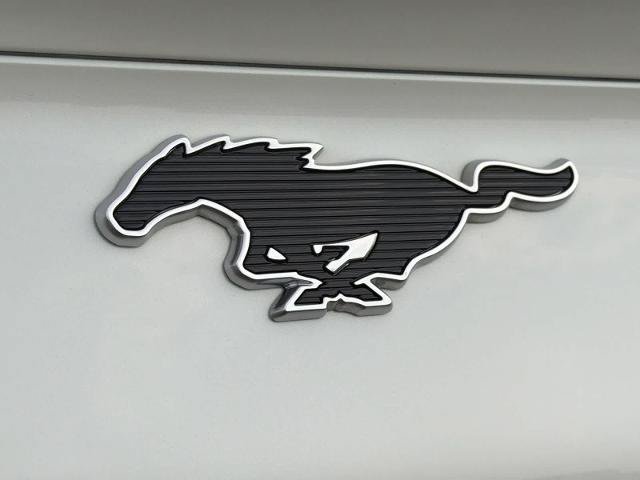 Certified 2023 Ford Mustang Mach-E California Route 1 AWD/4WD image 13