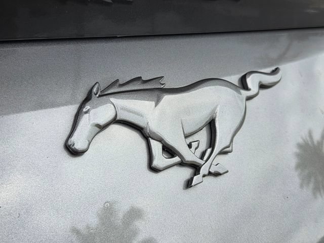 Certified 2024 Ford Mustang Coupe RWD image 13