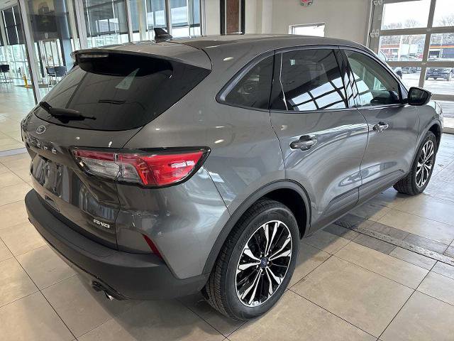 Certified 2022 Ford Escape SE w/ SE Sport Appearance Package image 5