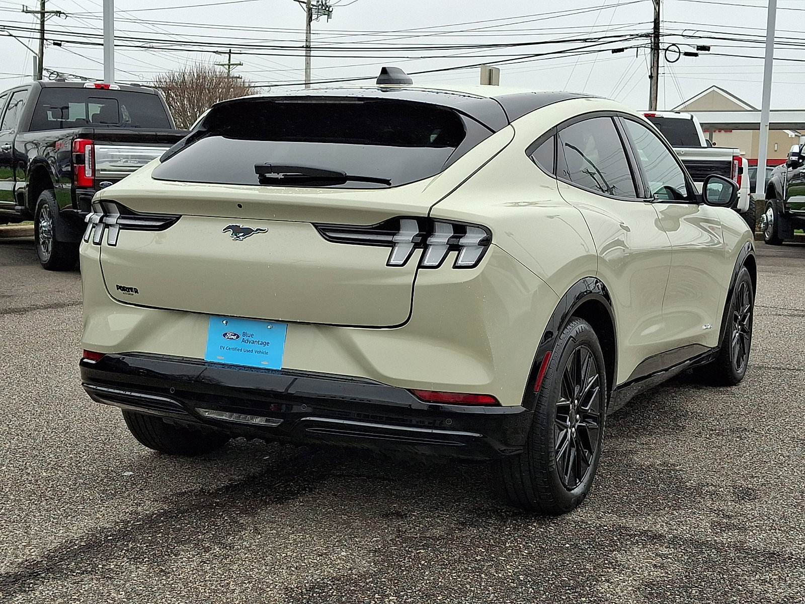 Certified 2025 Ford Mustang Mach-E Premium w/ Sport Appearance Package image 7