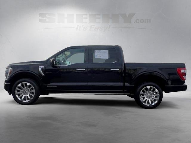 Certified 2023 Ford F150 Limited AWD/4WD image 13