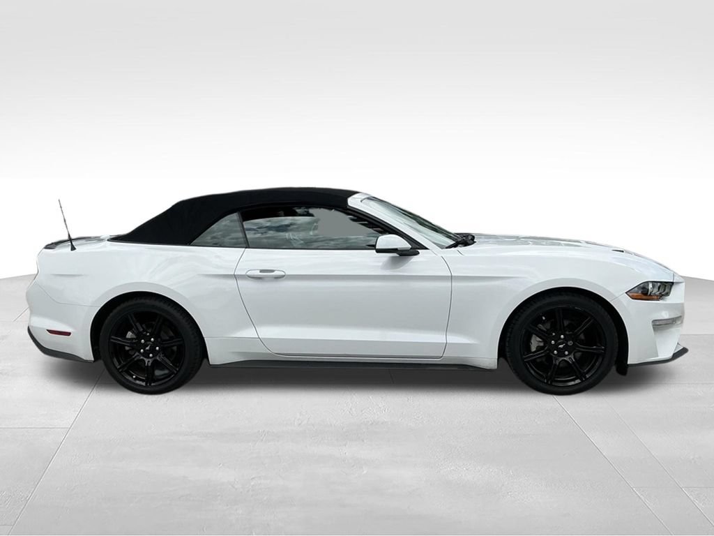 Certified 2019 Ford Mustang Premium w/ Black Accent Package RWD image 9