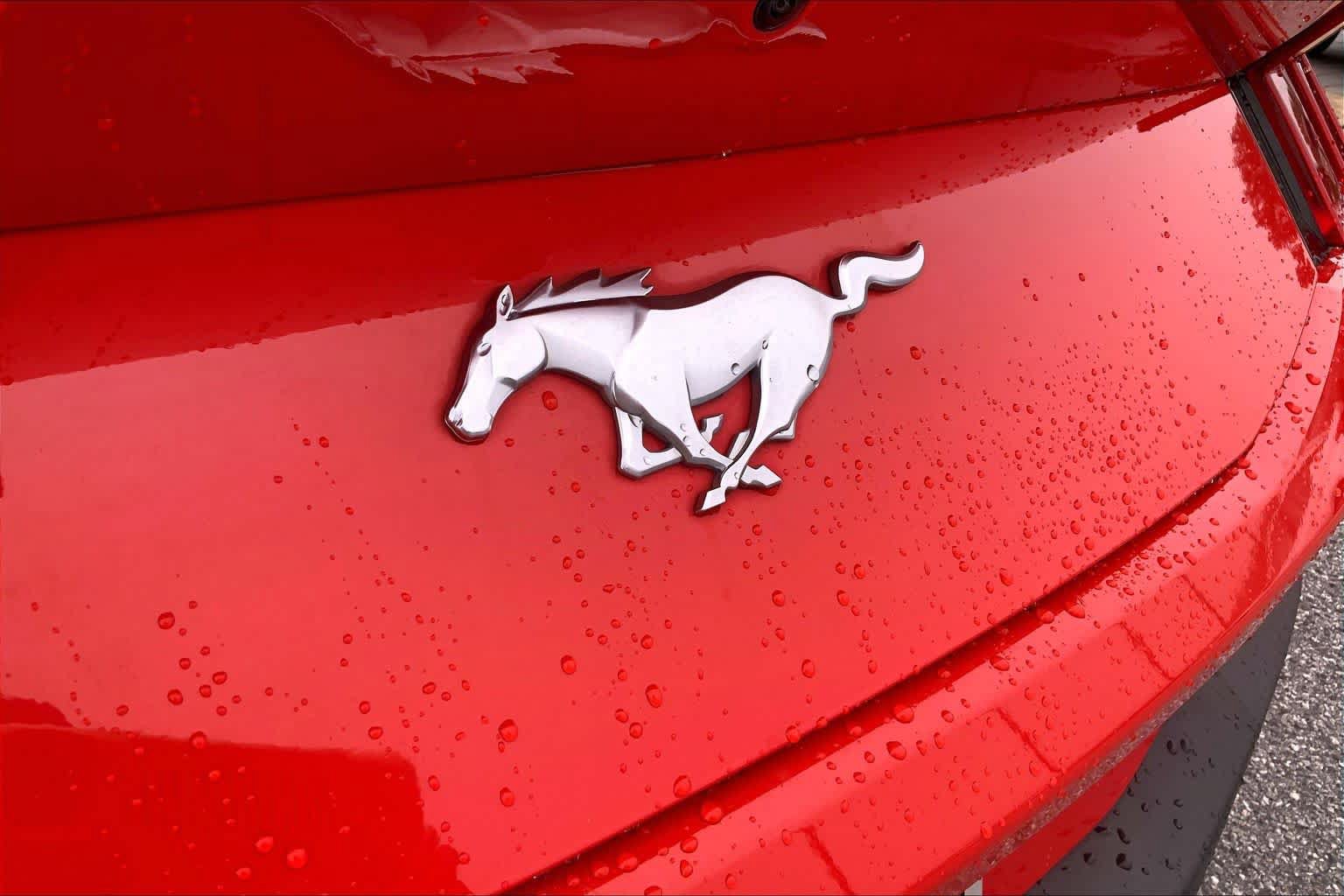 Certified 2024 Ford Mustang Premium RWD image 29