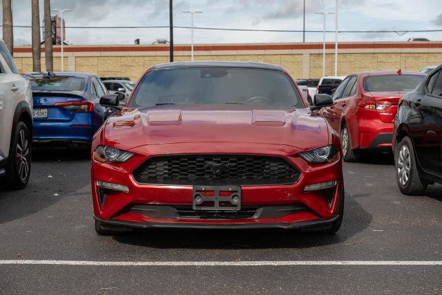 Certified 2023 Ford Mustang Coupe w/ Equipment Group 101A RWD image 2