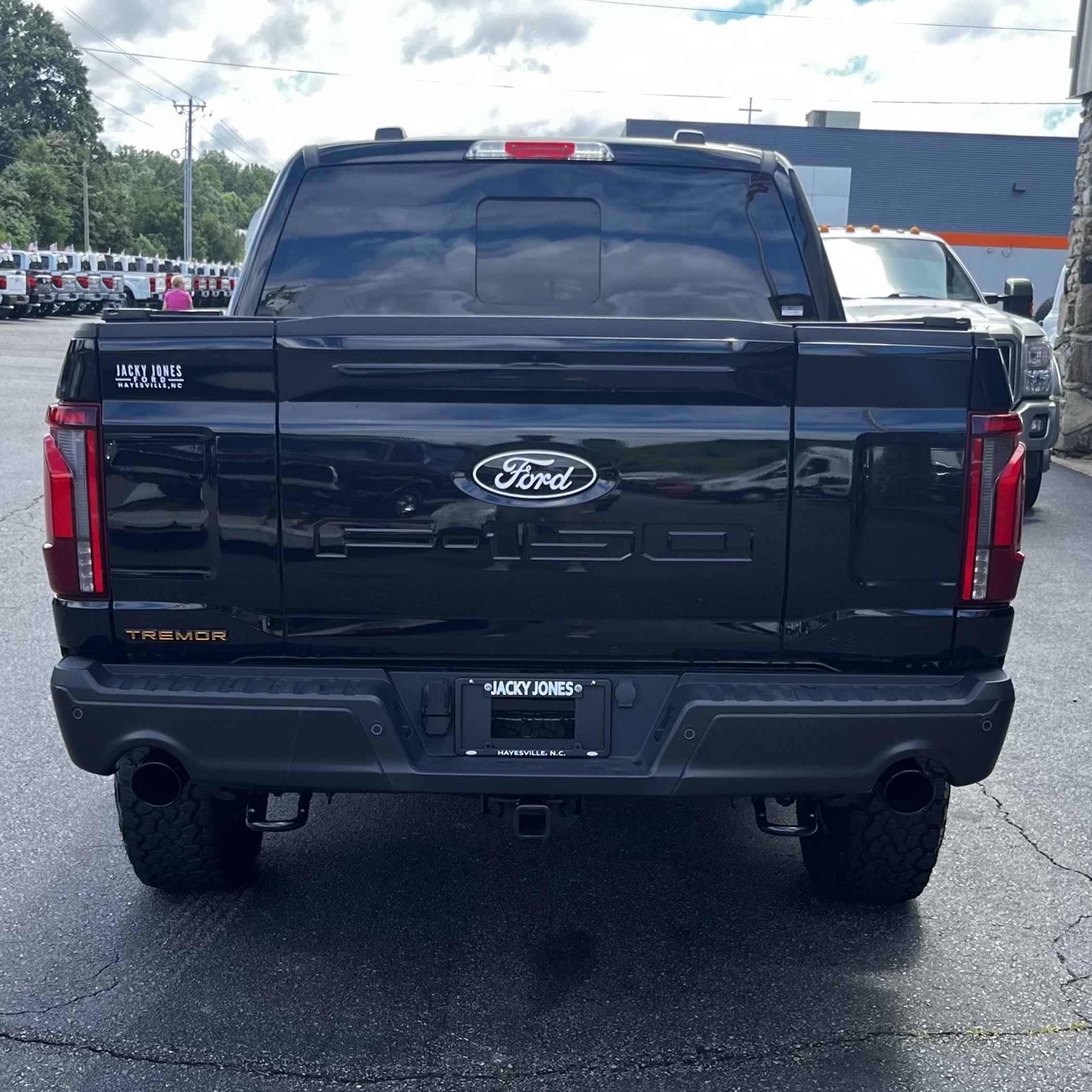 Certified 2025 Ford F150 Tremor w/ Equipment Group 402A High AWD/4WD image 7
