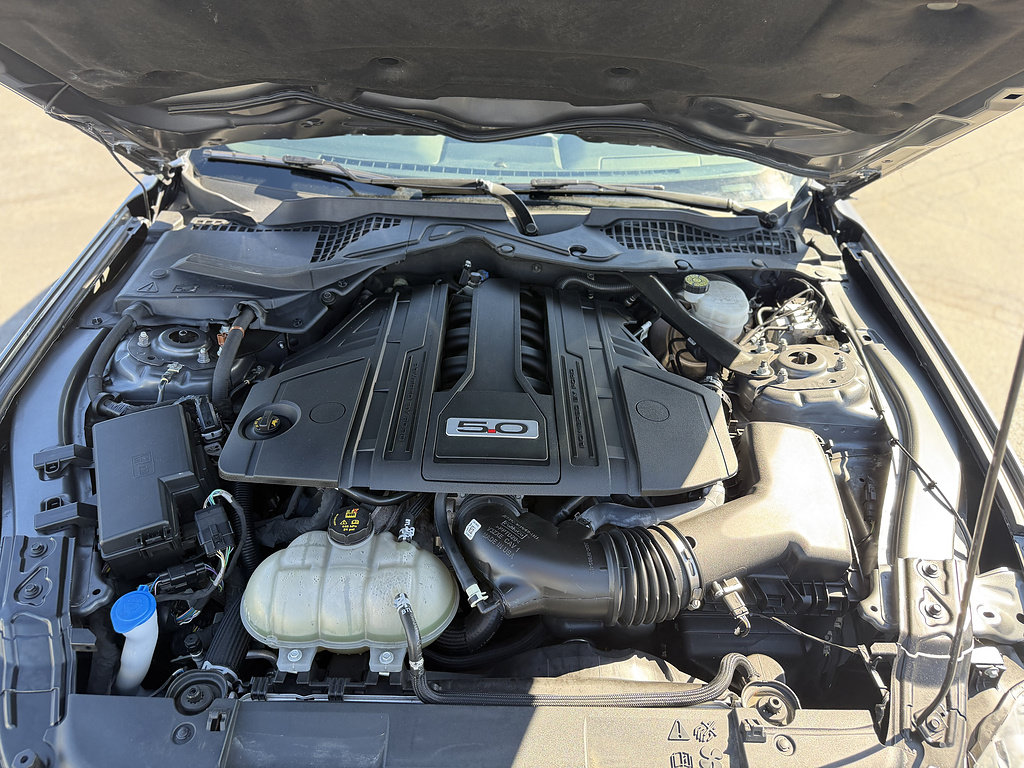 Certified 2021 Ford Mustang GT Premium w/ Equipment Group 401A RWD image 11