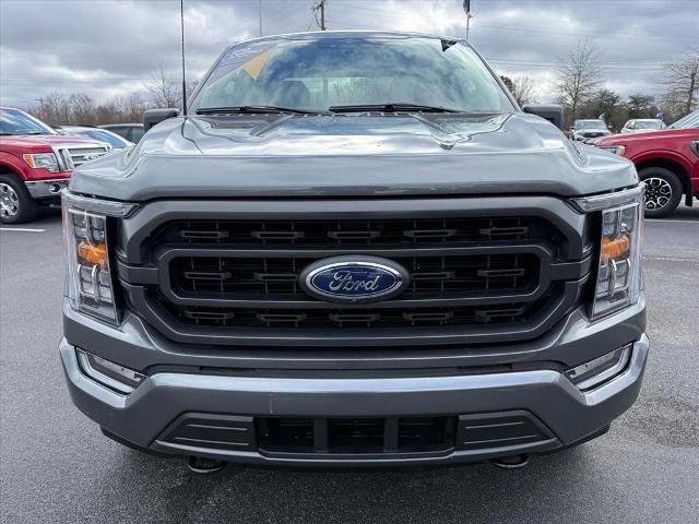 Certified 2023 Ford F150 XLT w/ Equipment Group 302A High image 3