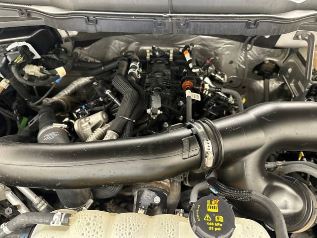 Certified 2024 Ford F150 XLT image 34