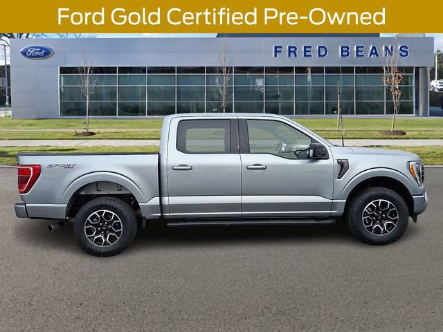 Certified 2023 Ford F150 XLT w/ Equipment Group 302A High image 5