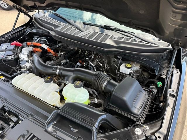 Certified 2024 Ford F150 XLT w/ FX4 Off-Road Package AWD/4WD image 45