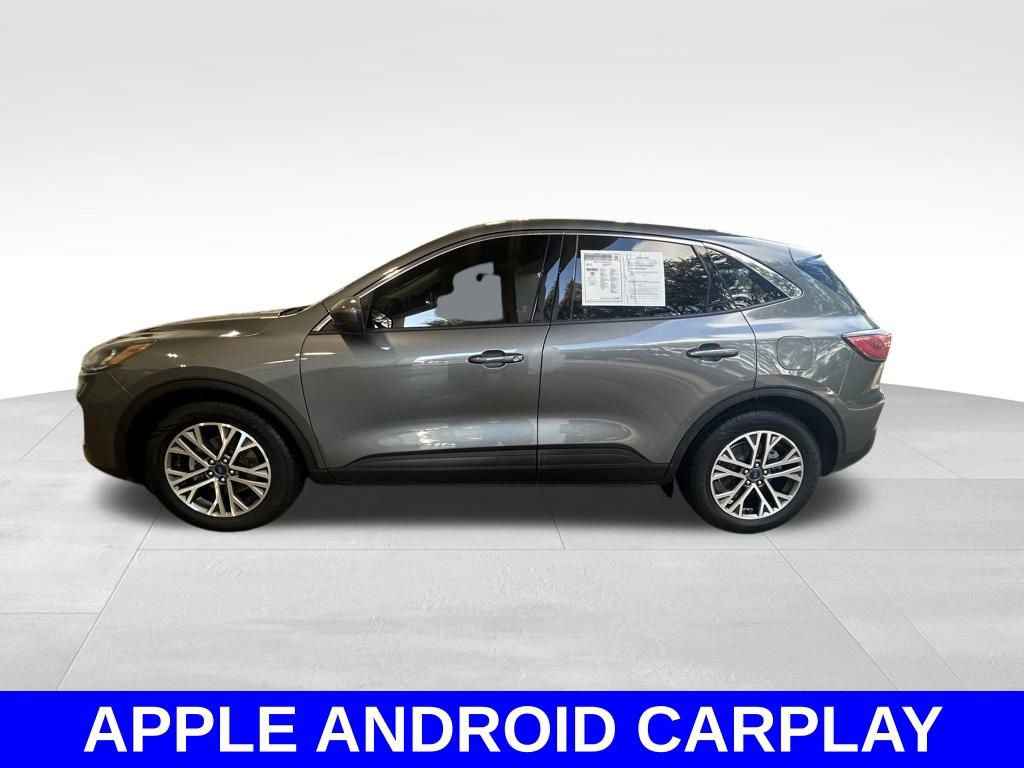 Certified 2022 Ford Escape SEL image 6