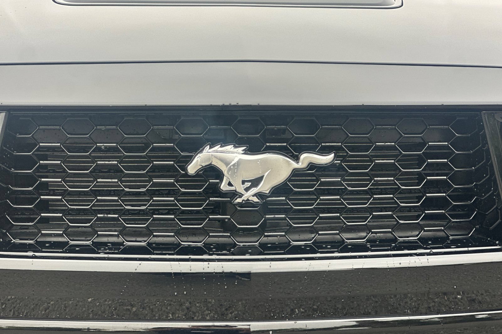 Certified 2025 Ford Mustang GT Premium RWD image 45
