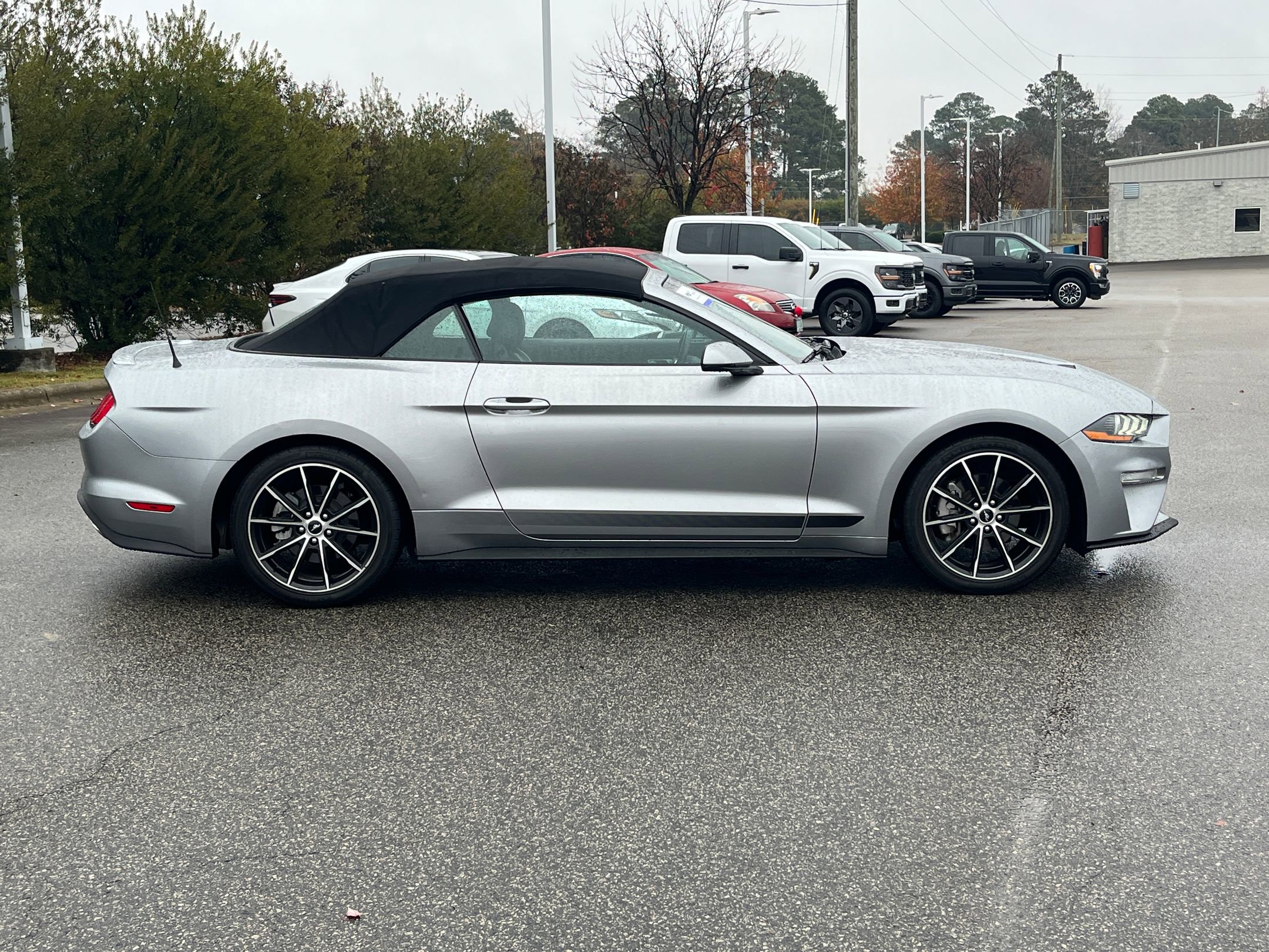 Certified 2021 Ford Mustang Premium w/ Equipment Group 201A image 3