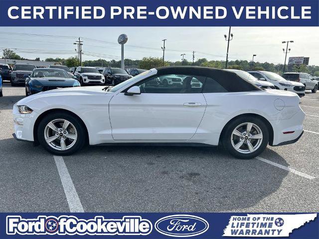 Certified 2020 Ford Mustang Convertible w/ Ford Safe & Smart Package RWD image 6