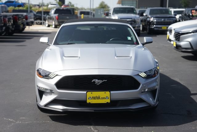 Certified 2019 Ford Mustang Premium RWD image 3