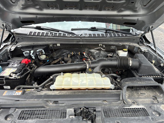 Certified 2024 Ford Expedition XLT AWD/4WD image 20