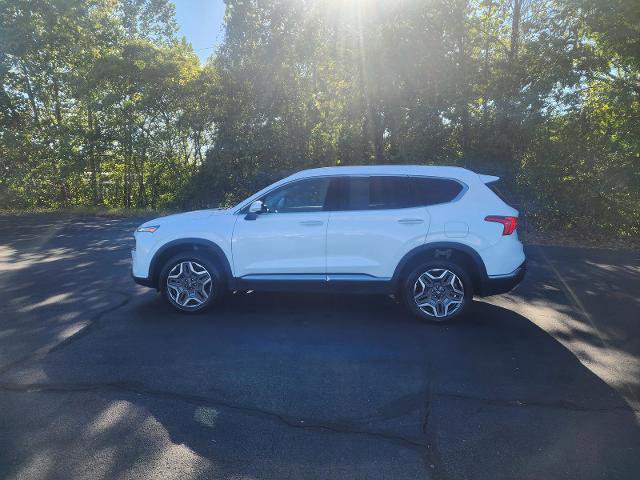 Used 2023 Hyundai Santa Fe SEL Convenience image 2