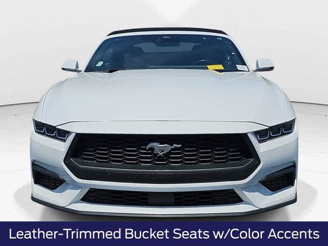 Certified 2024 Ford Mustang Premium RWD image 10