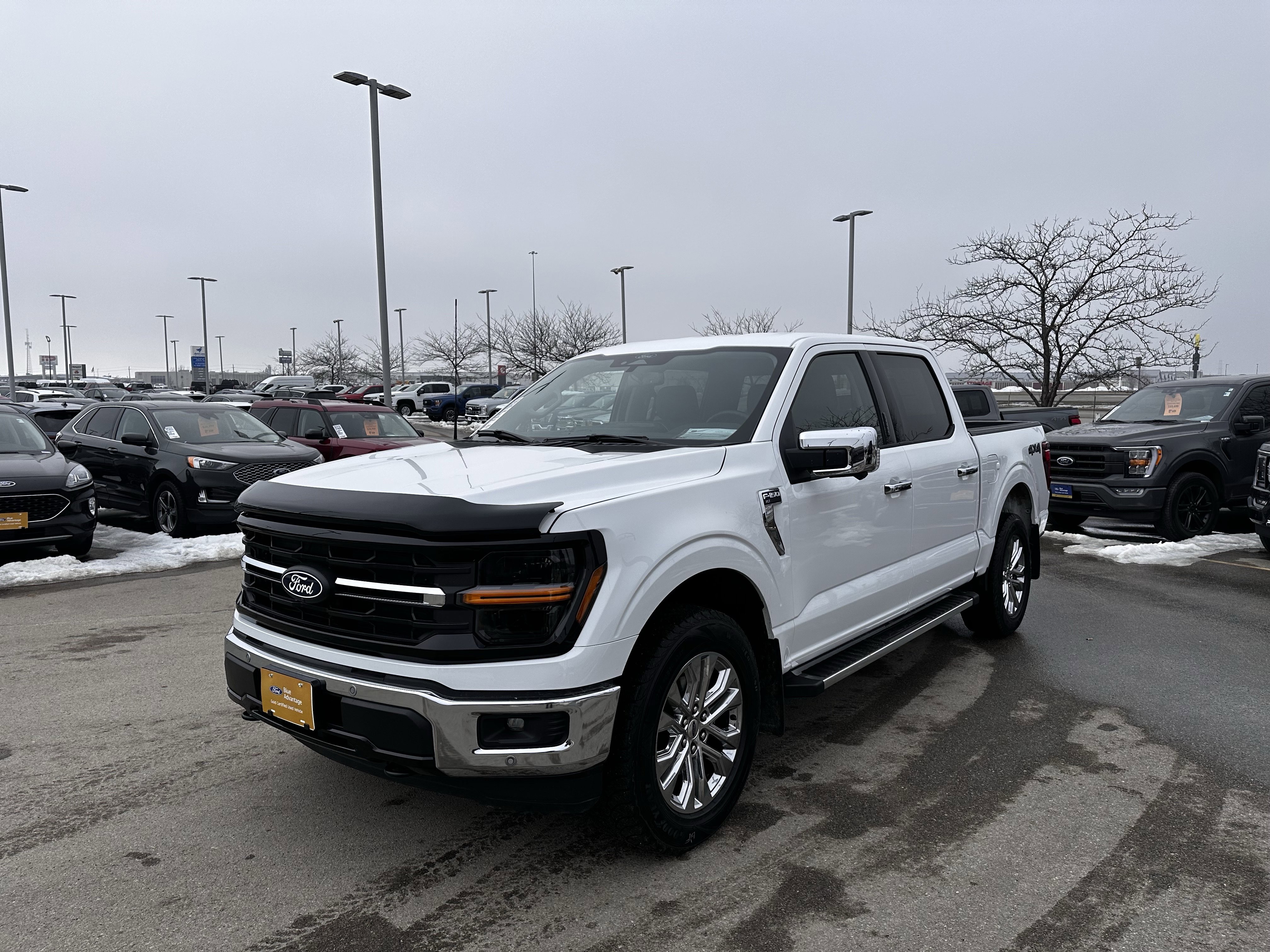 Certified 2024 Ford F150 XLT w/ Equipment Group 302A MID image 3