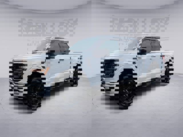 Certified 2024 Ford F150 STX w/ STX Black Appearance Package