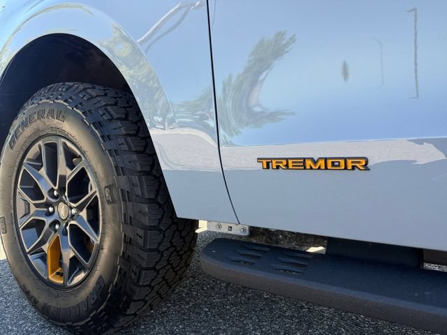 Certified 2025 Ford Expedition Tremor AWD/4WD image 16