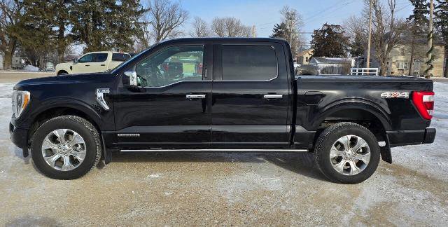 Certified 2021 Ford F150 Platinum w/ Equipment Group 701A High image 2