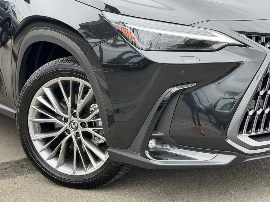 Used 2025 Lexus NX 350 AWD w/ Cold Area Package image 5