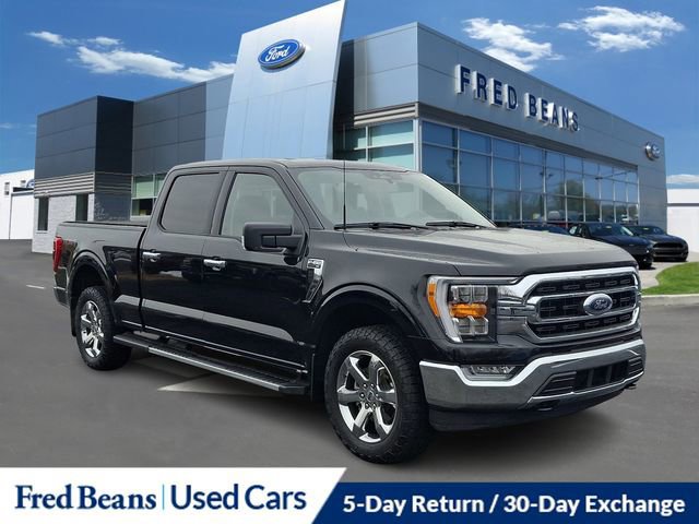 Certified 2023 Ford F150 XLT w/ Equipment Group 302A High image 11
