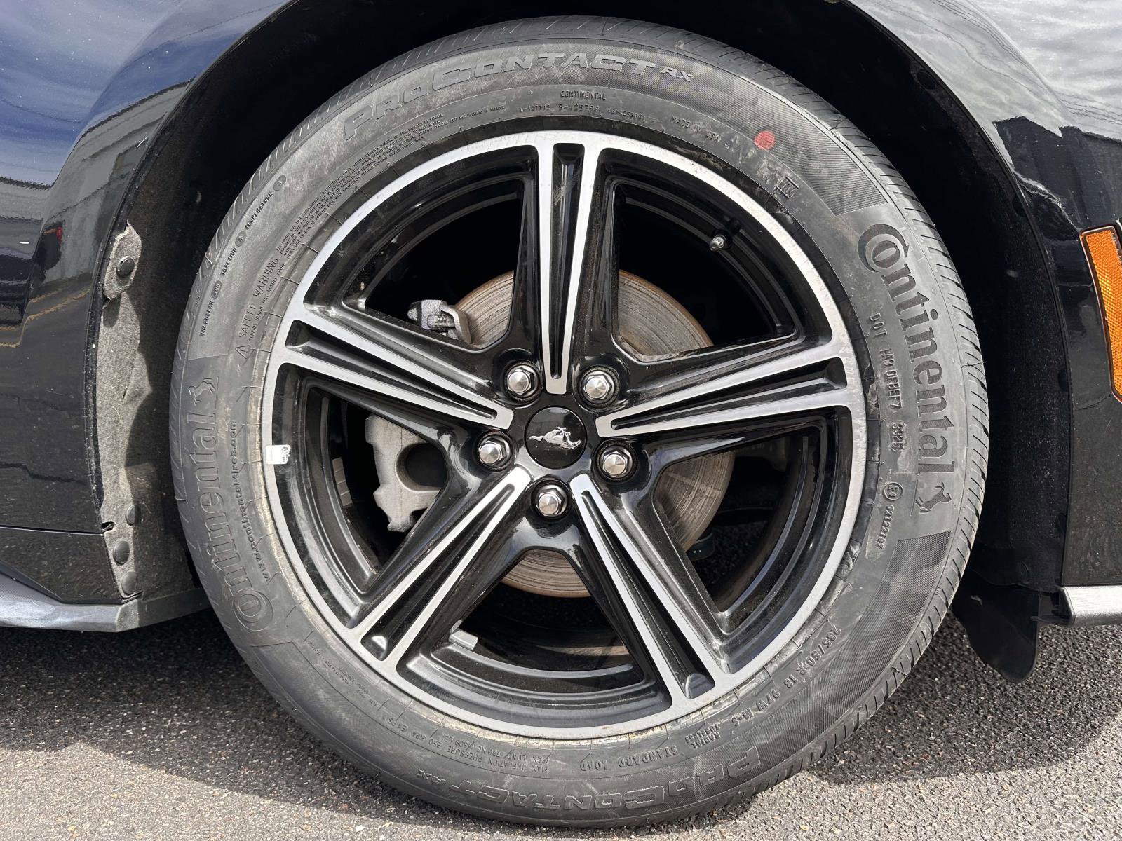 Certified 2024 Ford Mustang Premium image 7