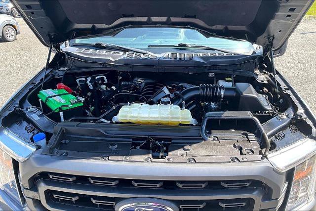 Certified 2023 Ford F150 XLT w/ Equipment Group 302A High AWD/4WD image 10