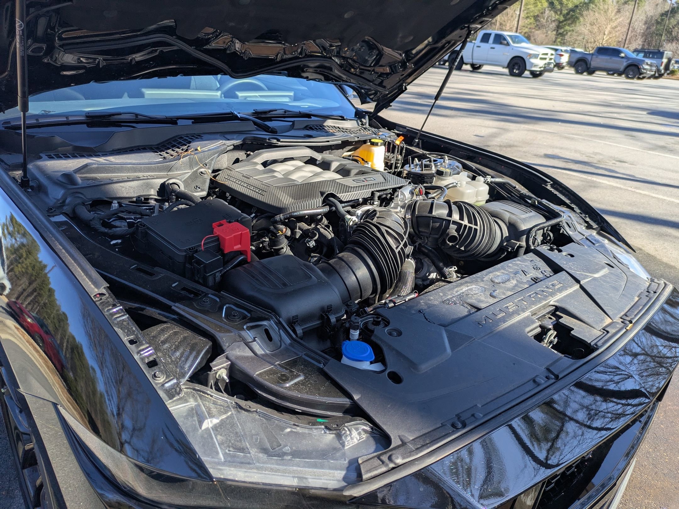 Certified 2025 Ford Mustang GT w/ Mustang Nite Pony Package image 29