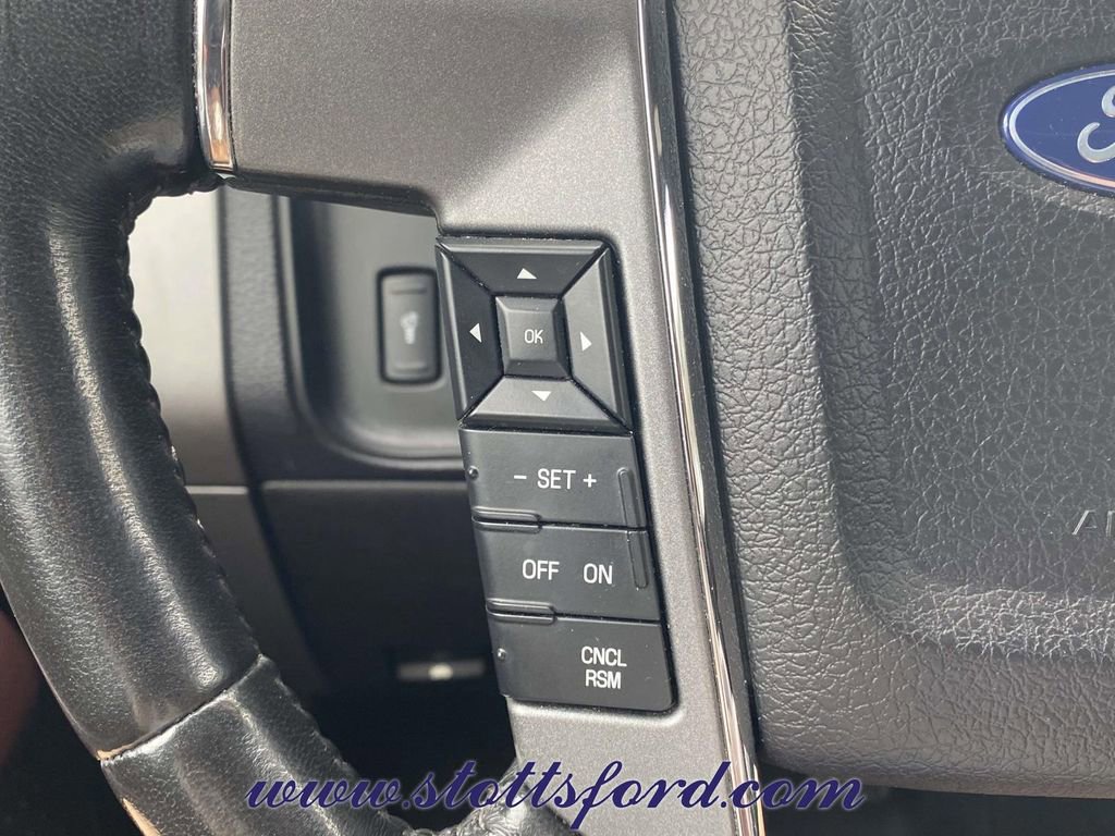 Certified 2017 Ford Expedition Platinum image 22