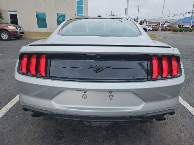 Certified 2019 Ford Mustang Coupe w/ Equipment Group 101A image 3