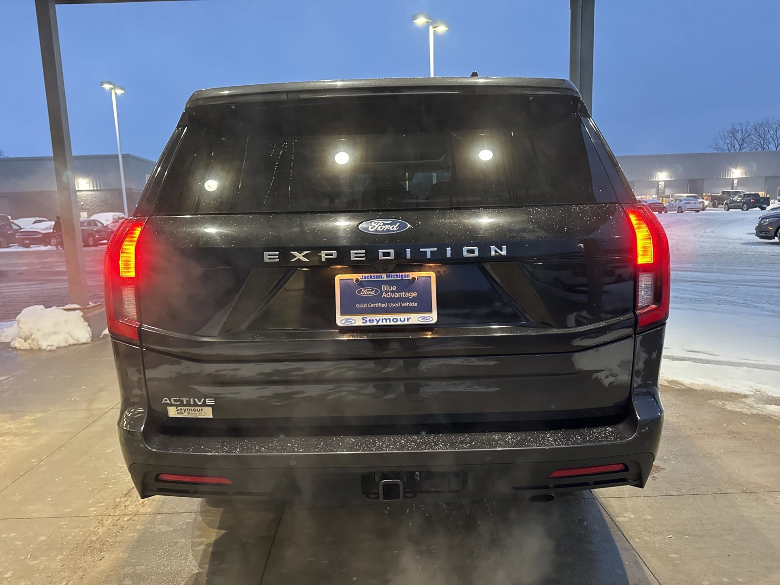 Certified 2025 Ford Expedition Active image 3