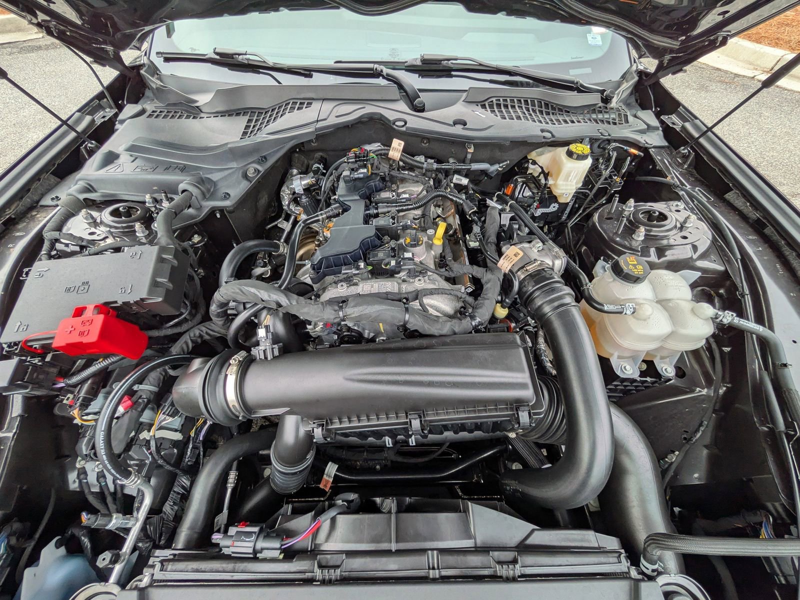 Certified 2024 Ford Mustang Premium image 10