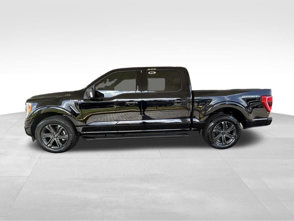 Certified 2023 Ford F150 XLT w/ Equipment Group 302A High RWD image 8