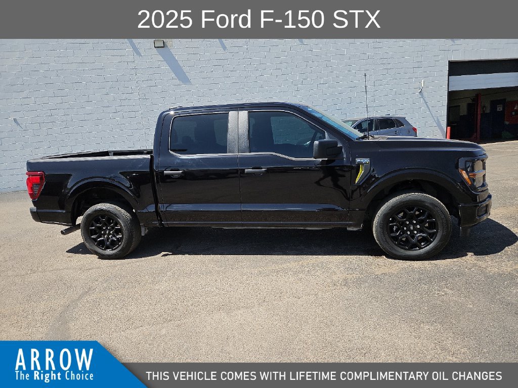 Certified 2025 Ford F150 STX RWD image 14