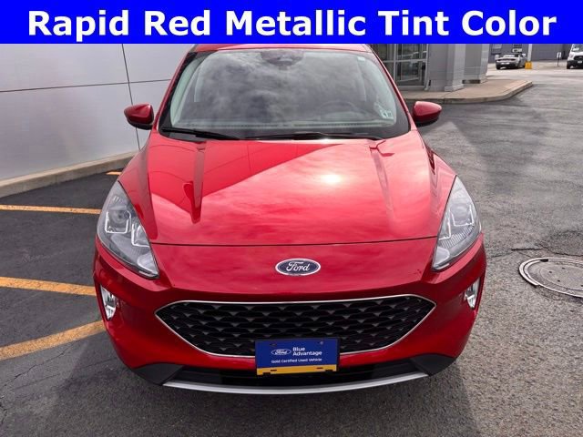 Certified 2022 Ford Escape SEL image 9
