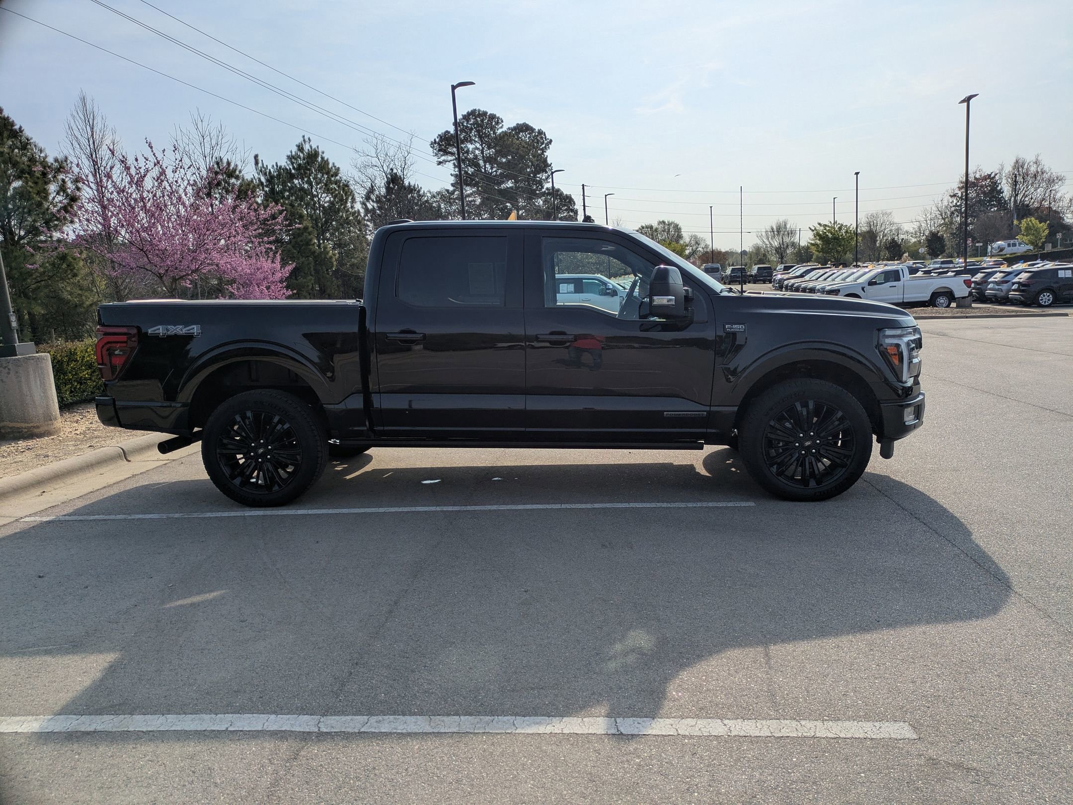 Certified 2025 Ford F150 Platinum w/ Equipment Group 702A High image 10
