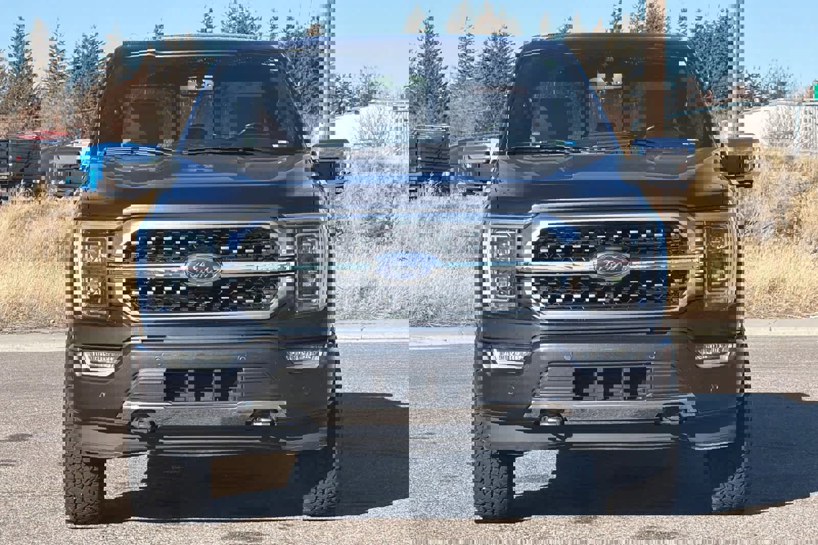 Certified 2021 Ford F150 Platinum image 8