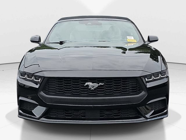 Certified 2024 Ford Mustang Premium RWD image 10