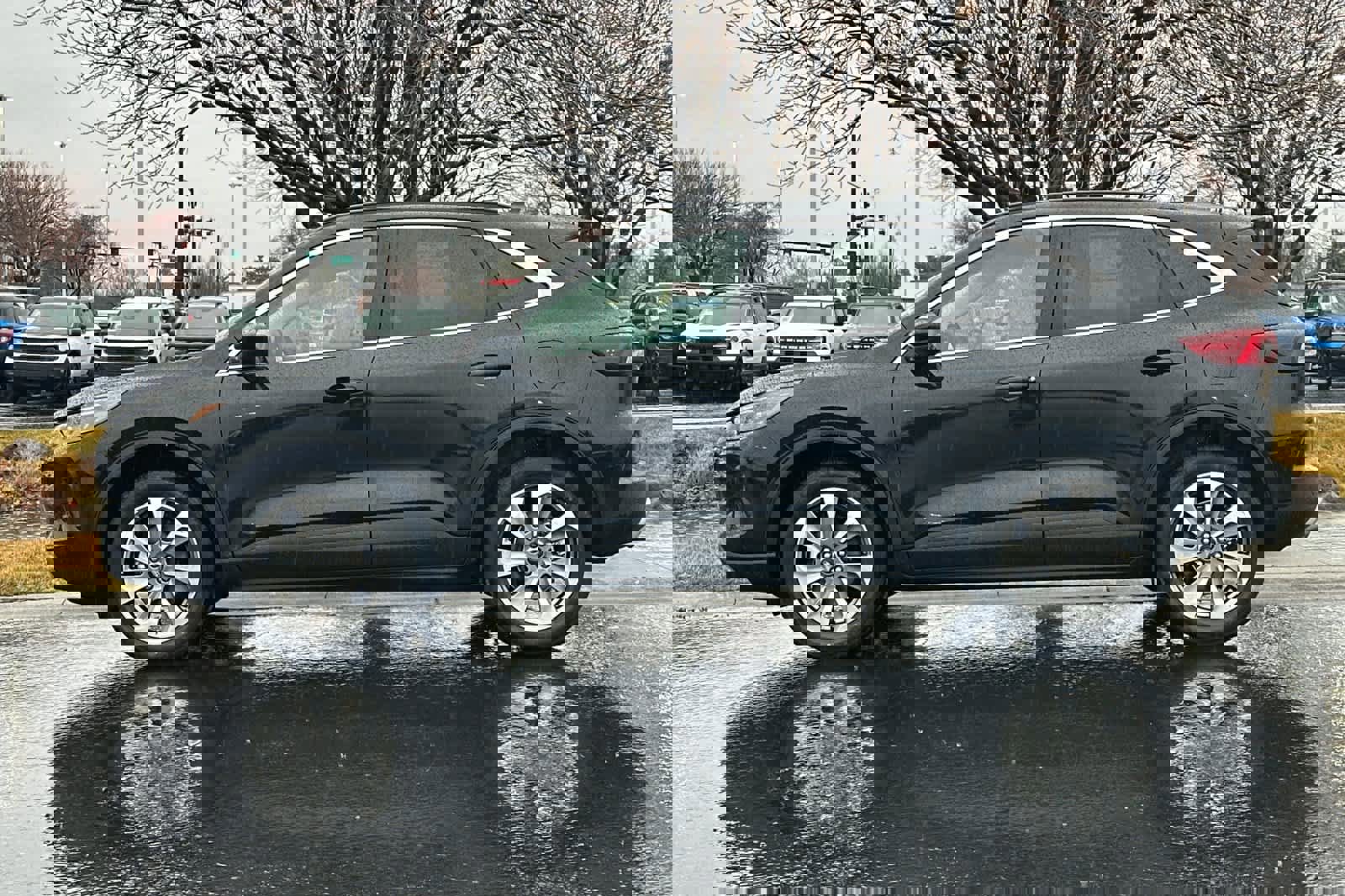 Certified 2025 Ford Escape Platinum image 2