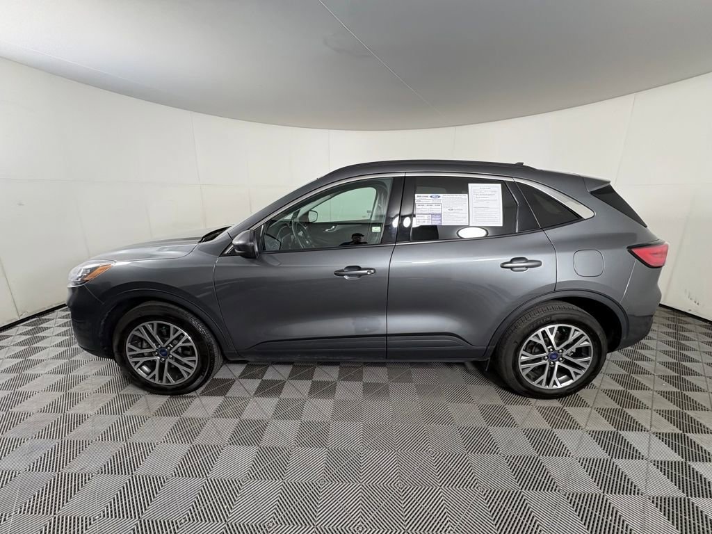 Certified 2022 Ford Escape SEL image 2