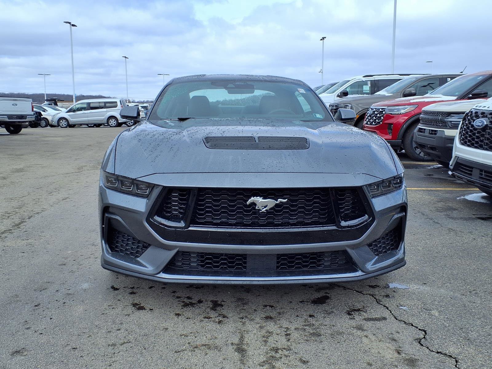 Certified 2025 Ford Mustang GT Premium image 6