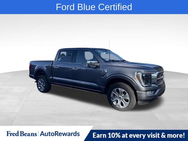 Certified 2023 Ford F150 Platinum w/ Equipment Group 701A High AWD/4WD image 1