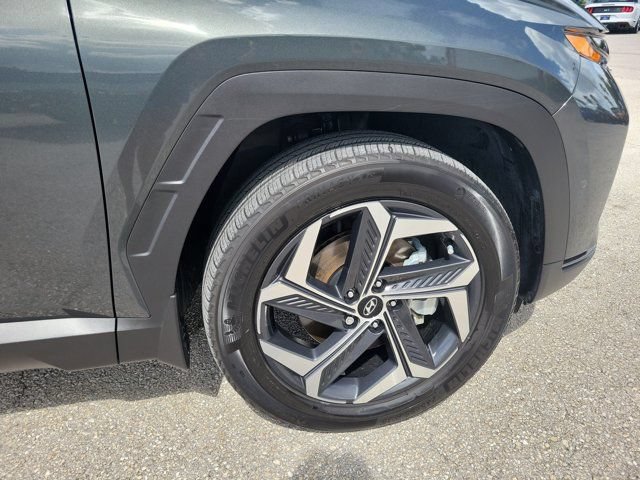 Used 2024 Hyundai Tucson Limited AWD/4WD image 13
