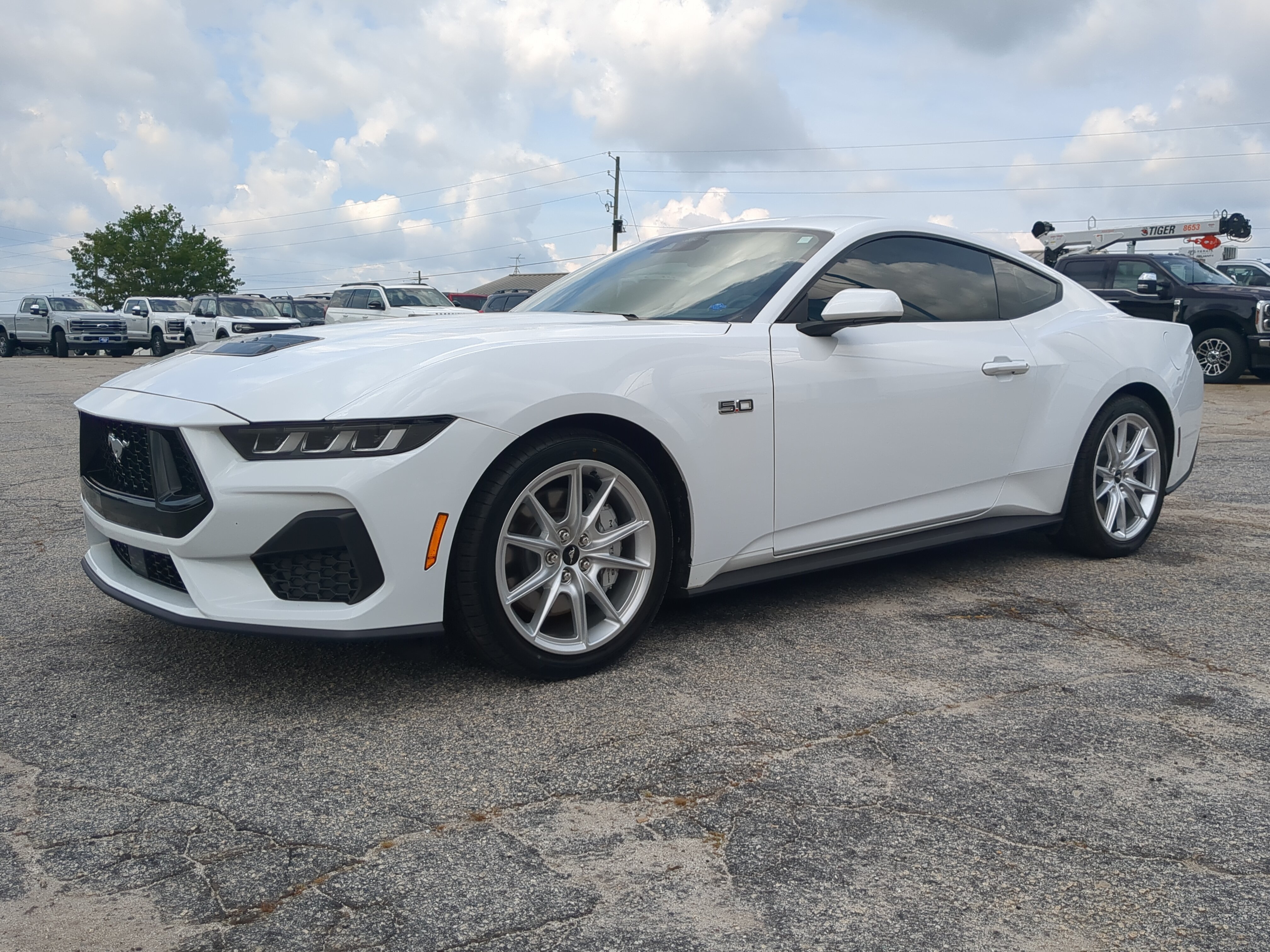 Certified 2024 Ford Mustang GT Premium RWD image 6