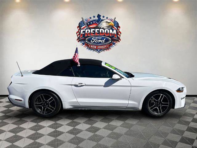 Certified 2023 Ford Mustang Premium RWD image 3