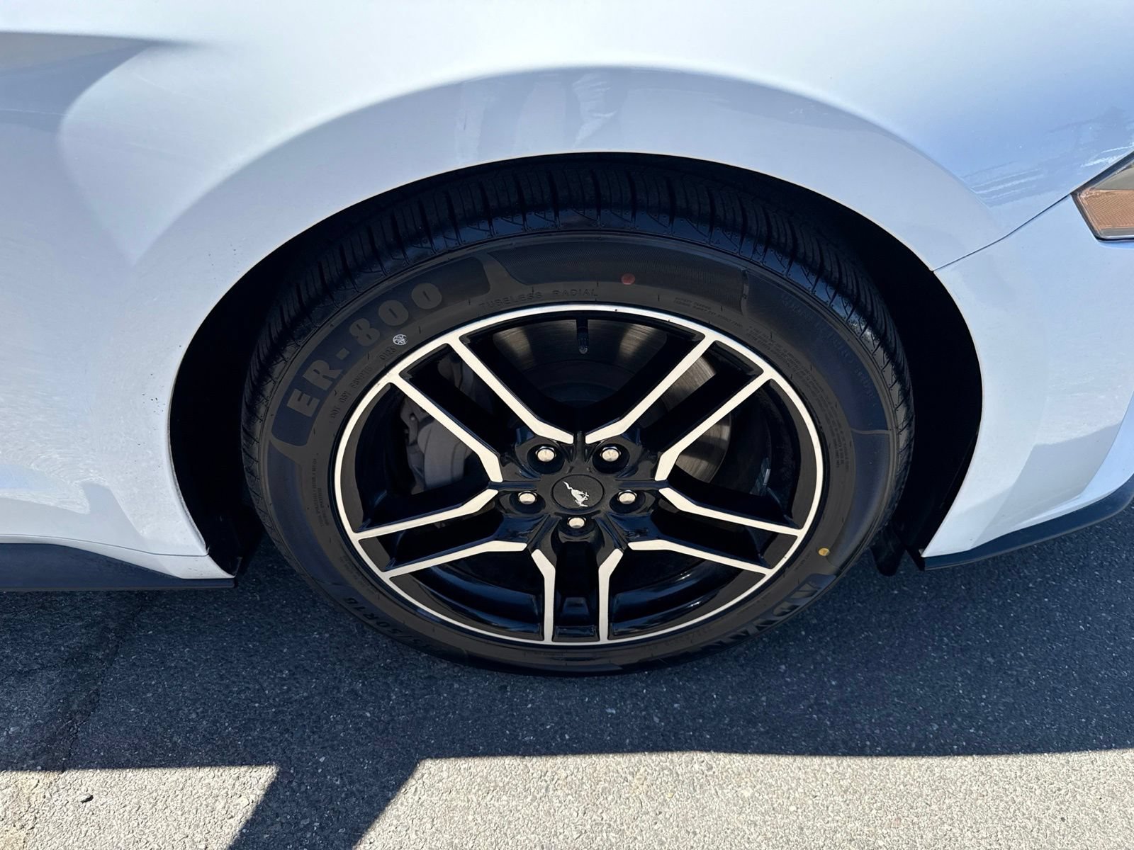 Certified 2019 Ford Mustang GT w/ Equipment Group 301A RWD image 18