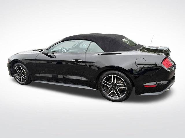 Certified 2023 Ford Mustang Premium RWD image 12